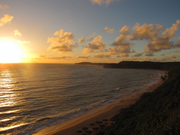 Maillot celtic glasgow 50 anniversary