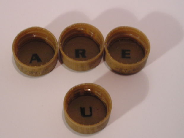 lid
