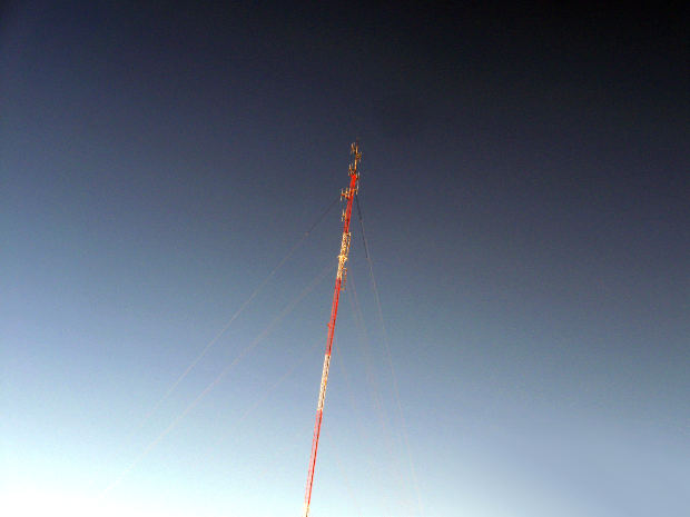 "crypto trading signals"