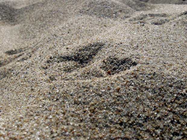 sand