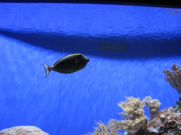 "crypto trading demo account"