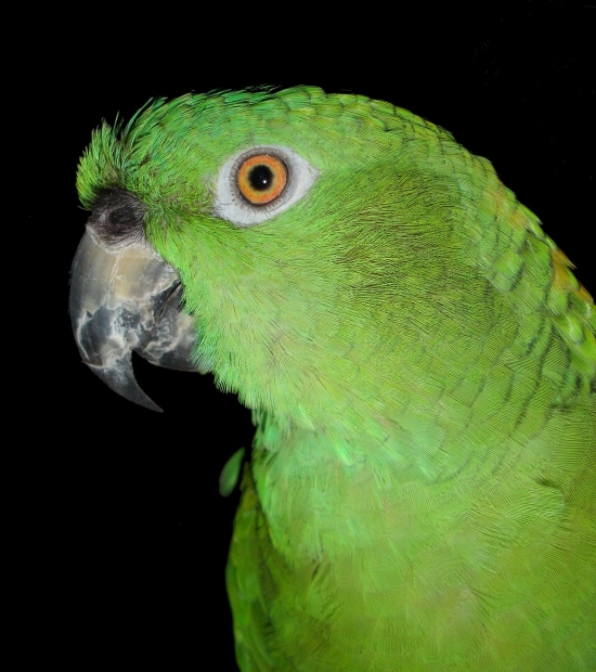 136422123629t2u.jpg