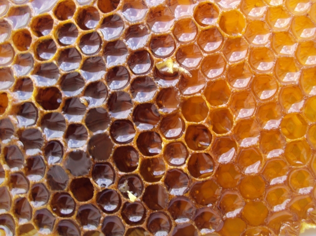 Benefits of honey for women