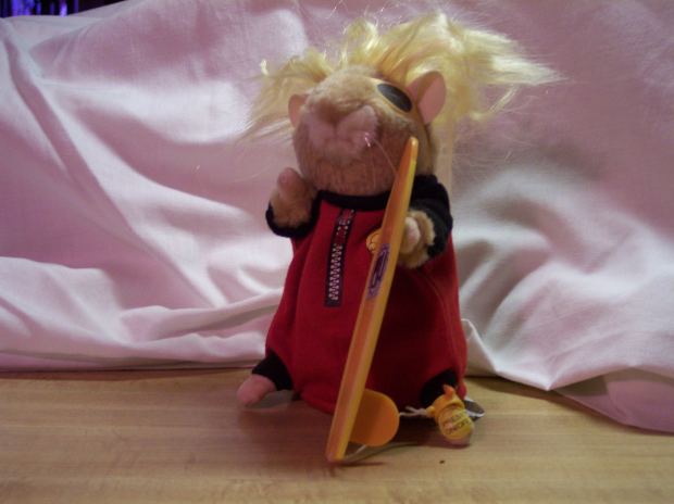 "Crypto-trading hamster"