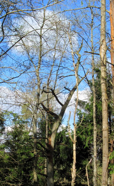 Узнайте Прямо Сейчас, Что Нужно Сделать, Чтобы Быстро Купить Одежду Из Финляндии?