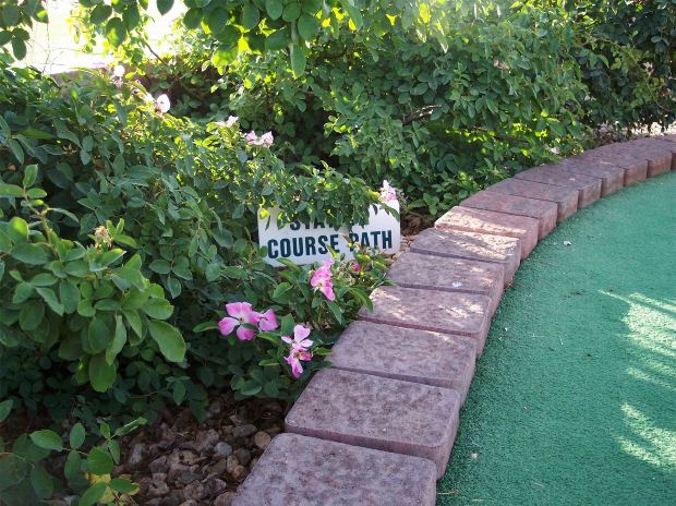 Free Online Golf Games