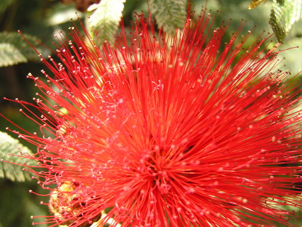 Morguefile.com free photographs for commercial use.