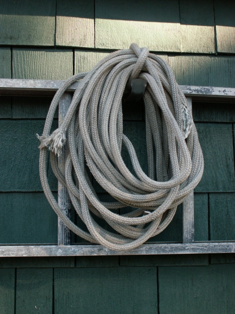 How One Particular Can Earn $398/Day Using Chaturbate I