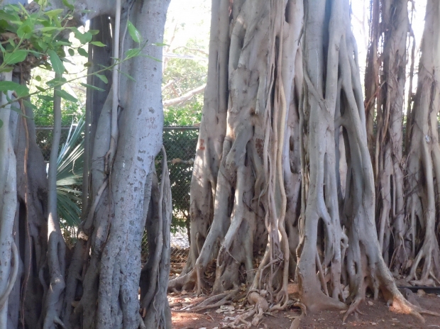 "Banyan Tree Bangkok"