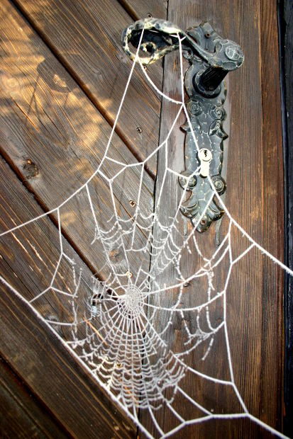 Find Out How To Begin Out Free Porn Streaming