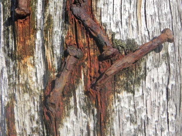 wood
