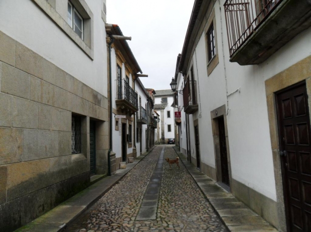 Ou acheter le maillot d al nassr