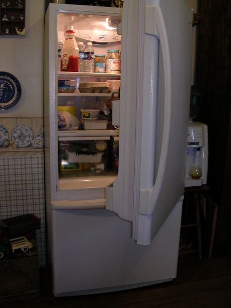 What Are Common Refrigerator Issues?