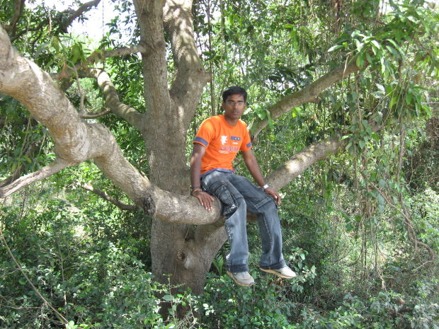 file0001656375537.jpg