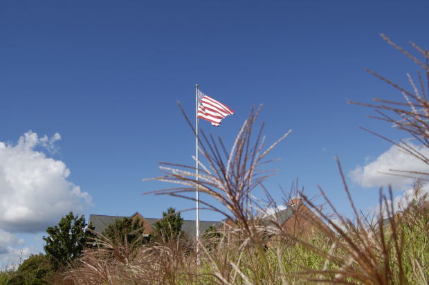 usa