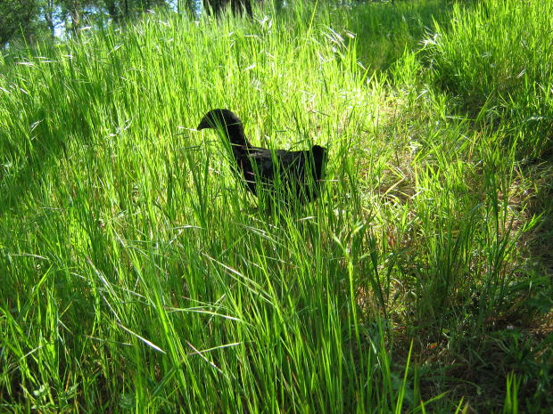 If You Want To Be A Winner, Change Your Camsoda Tokens Philosophy Now!