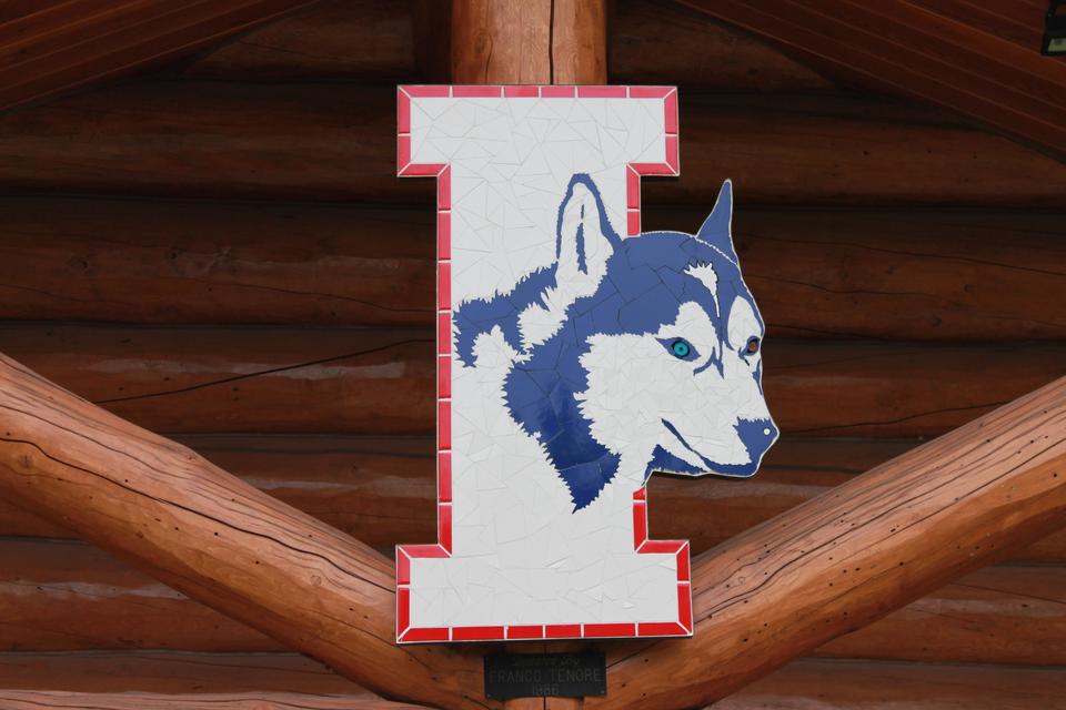 wolf