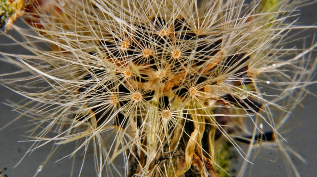 Madrid soccer jersey 24-25