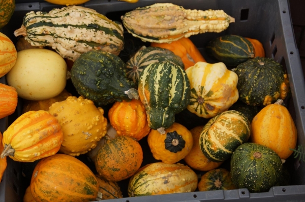 5 Incredible Xxx Videos 18 Examples