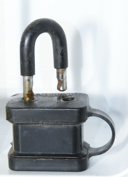 file2901247031705.jpg
