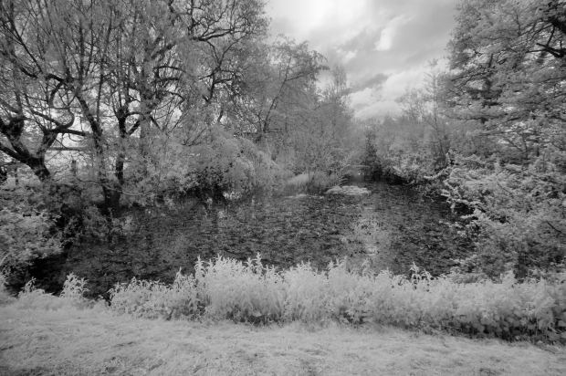 scene