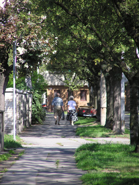 Suffolk Roman Gold And Silver Coins Declared Treasure