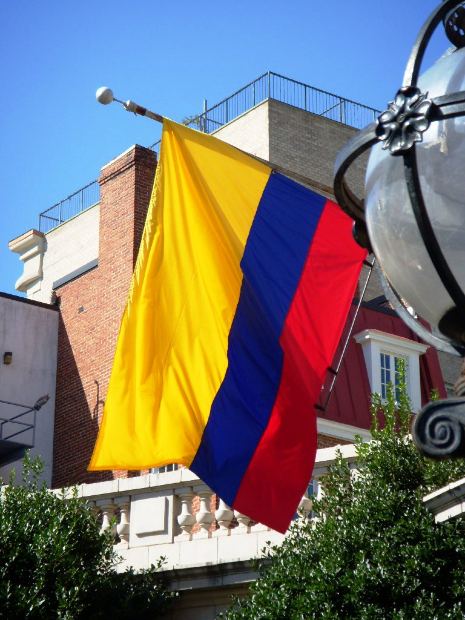 Blank soccer jerseys 24-25