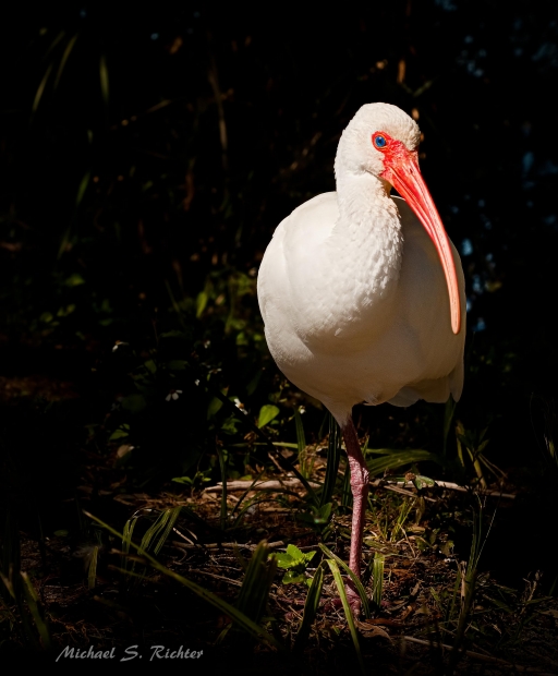 "Ibis Bangkok Nana"