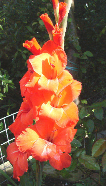 file000922242693.jpg