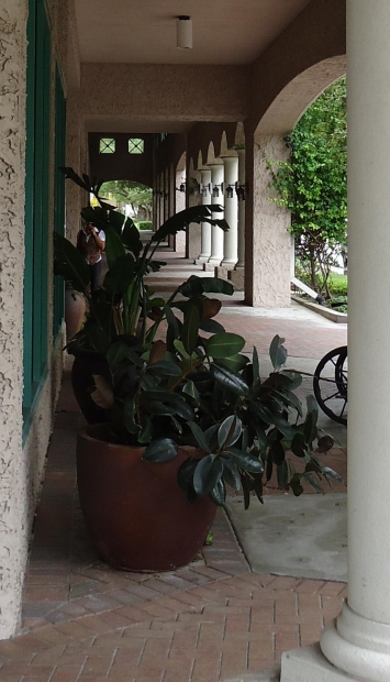 pot