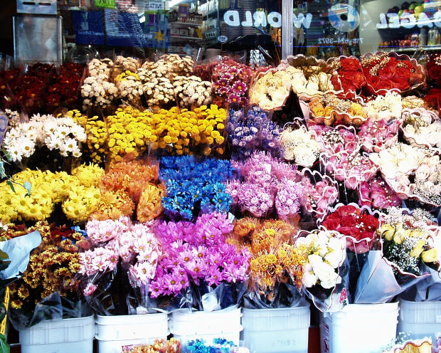 جاروشارژی