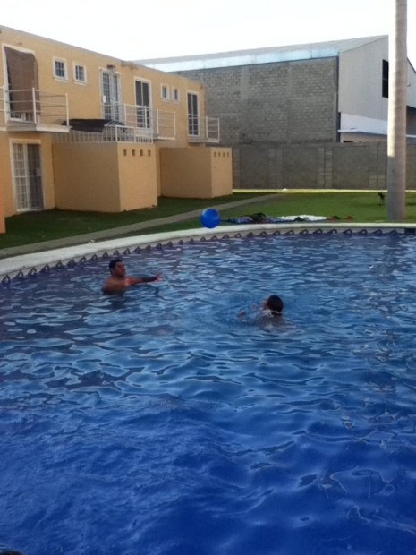 pool,swimming pool,swimming