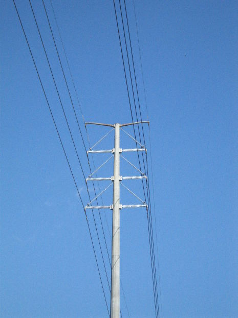 lines