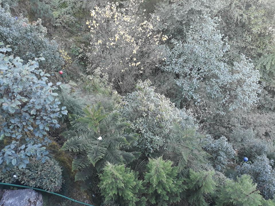 gea rotary brush strainer