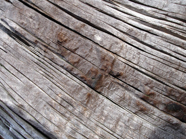 wood