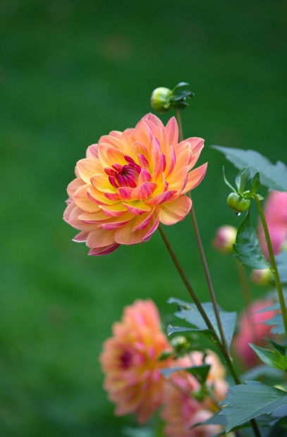 prediksi hk 02 oktober 2022