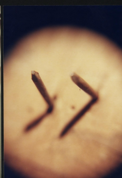 macro