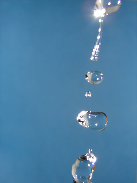 file000131059753.jpg