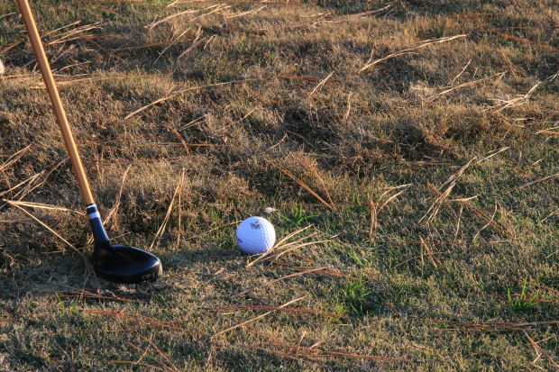 Free Online Golf Games