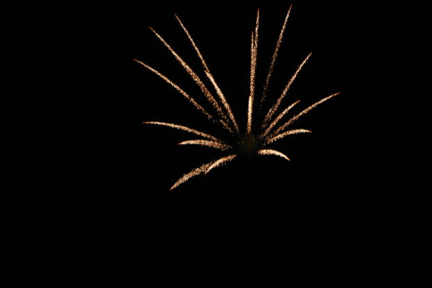 Dear Explodes Morguefile.com free photographs for commercial use.