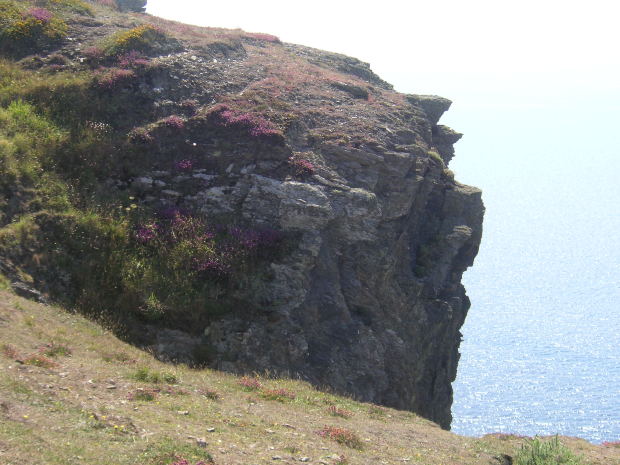 liverpool f.c. vs newcastle united lineups