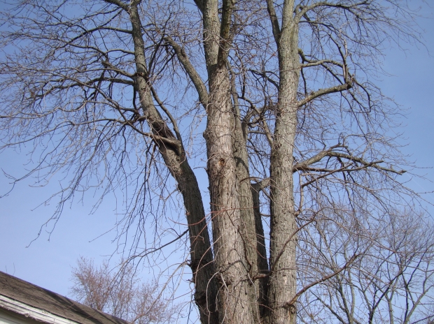 Technique For Maximizing A Job