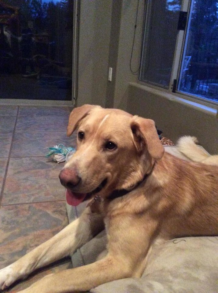 Unusual Article Uncovers The Deceptive Practices Of Free Porn Xxx