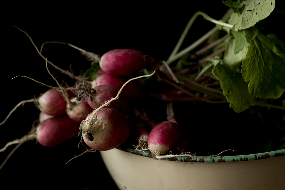 radish