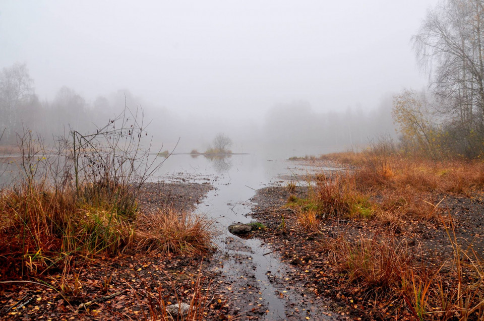 id:58,name:grass,pivot:photo_id:1164161,tag_id:58