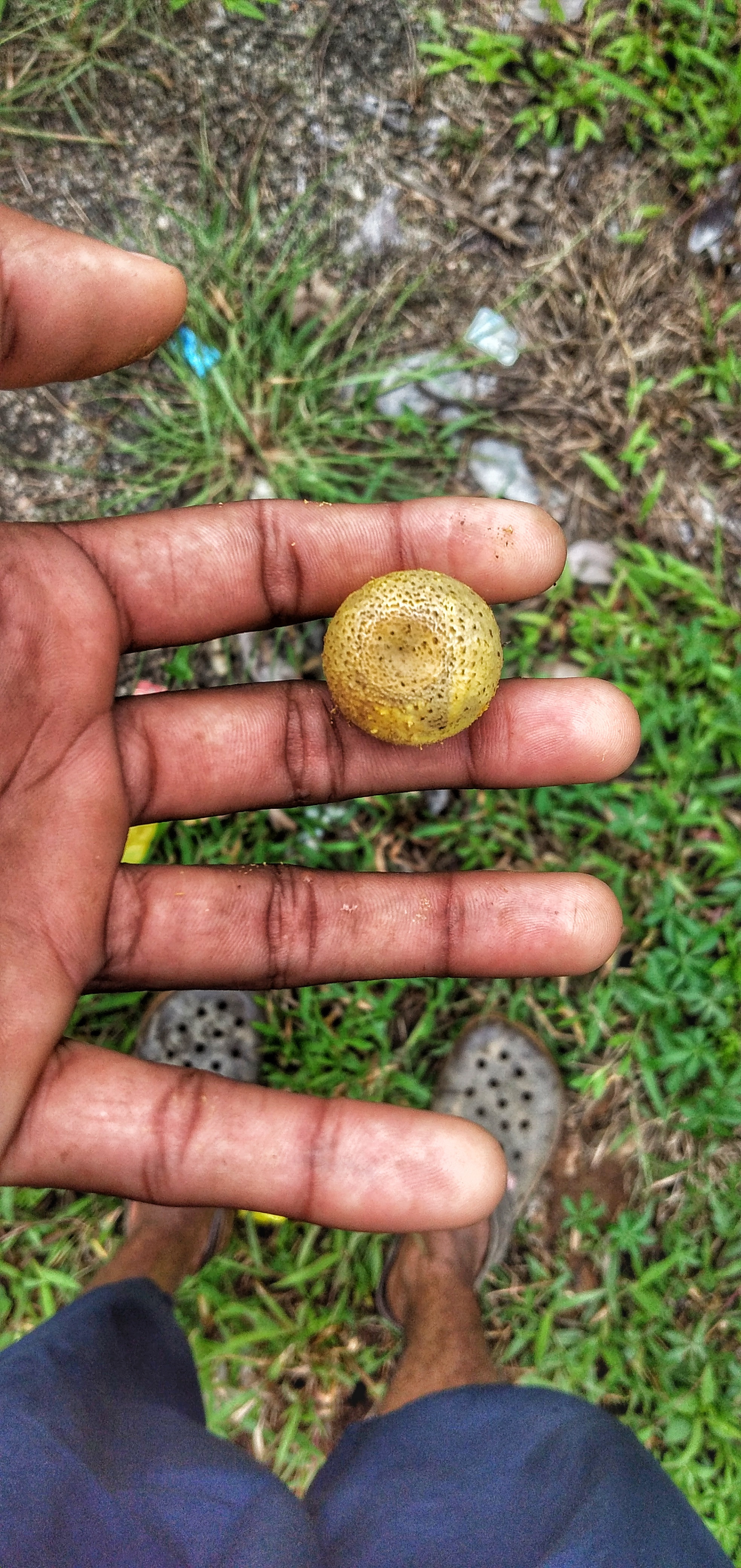 Как Не Стать Жертвой Преступления?