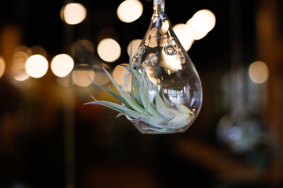 kitchen decoration