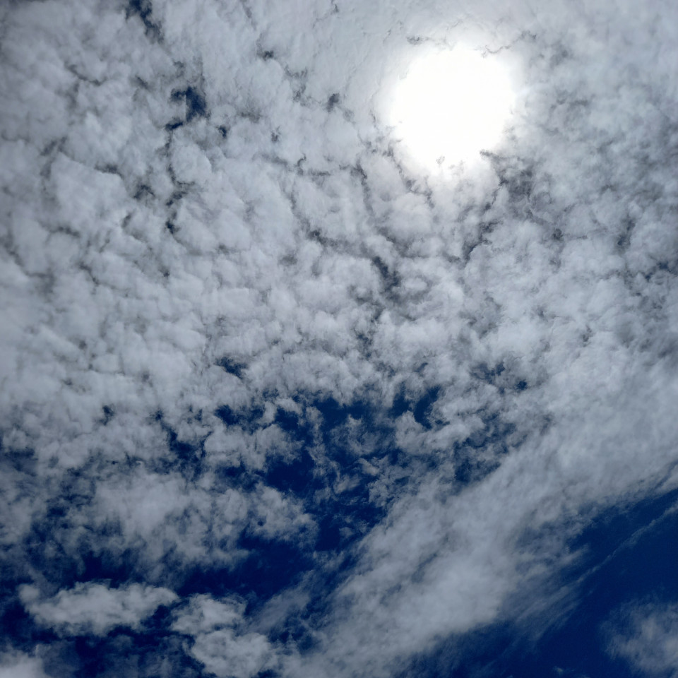 id:350,name:cloudy,pivot:photo_id:1163909,tag_id:350